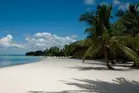 Saona Island 