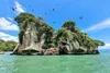 Los Haitises National Park Tour