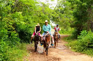 Horseback Riding and Swimming Experience