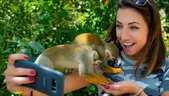 Monkeyland