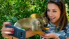 Monkeyland