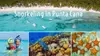 Punta Cana Snorkeling