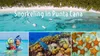 Punta Cana Snorkeling