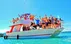 Tours in Punta Cana