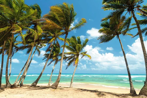 punta cana weather in january
