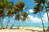 Punta Cana Weather In January