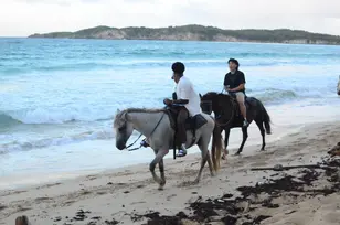 Punta Cana Horseback Riding Excursion