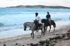 Punta Cana Horseback Riding Excursion