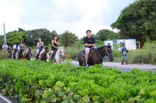 Countryside Horseback Tour in Punta Cana