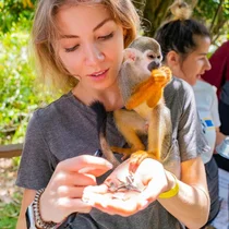 Monkeyland