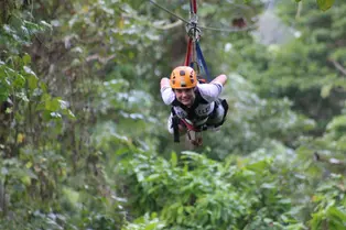 Zipline Adventure