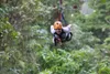 Zipline Adventure