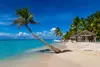 Saona Island private tour packages