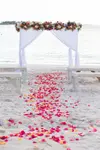 Experience Luxury: Sertuin Events Plans Punta Cana’s Most Exclusive Weddings