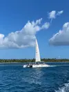 Saona Premium