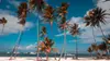 Top Attractions in Punta Cana: Discover the Best of Paradise