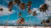Top Attractions in Punta Cana: Discover the Best of Paradise