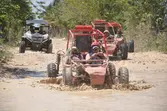 Adventure Buggies