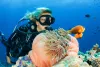 Scuba Diving Punta Cana with Grand Bay of the Sea