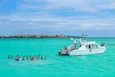 Sunshine Cruise