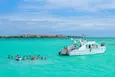 Sunshine Cruise