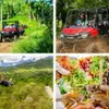 Punta Cana Adventures 