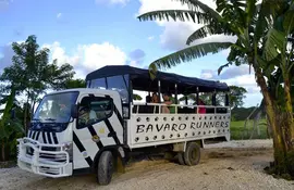 Bavaro Runners