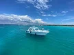 Saona Submarine VIP
