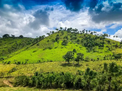 higueymacao4