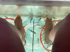 Dr Fish Spa
