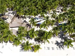 Saona Premium