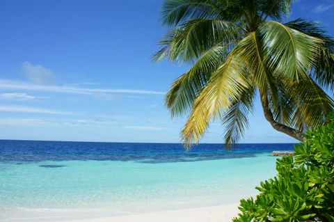 Punta Cana