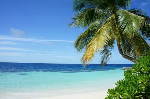 Punta Cana