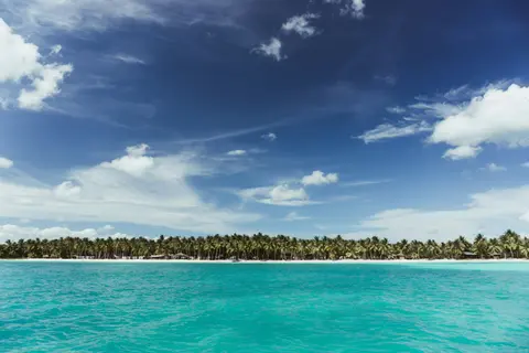 saona