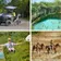 Melia Punta Cana Excursions