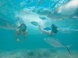 Sailing Splash