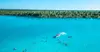 Saona Island natural pool experience