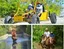 Hard Rock Punta Cana Excursions