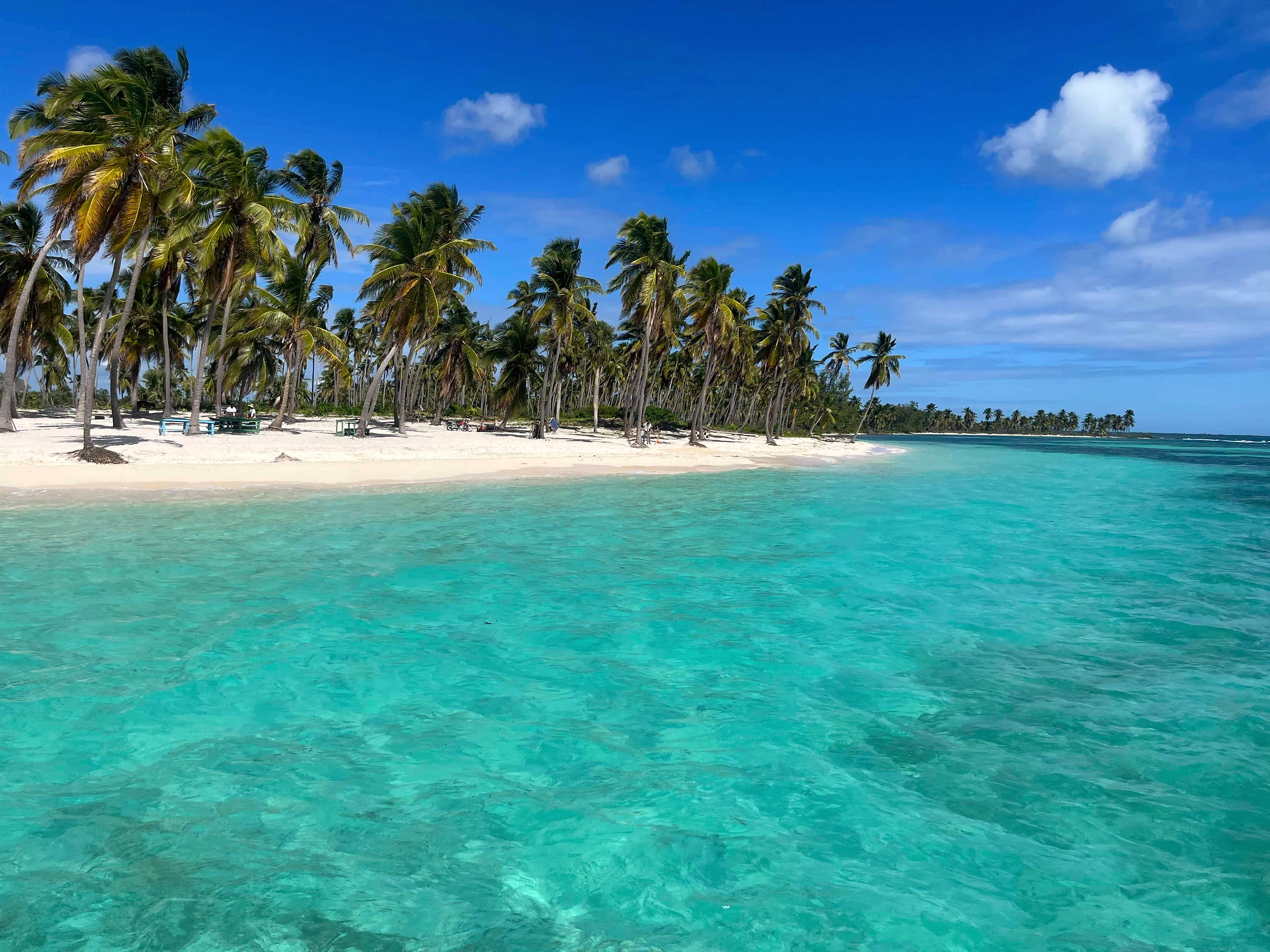 Palm-lined beach and turquoise water at Canto de la Playa, Saona Island